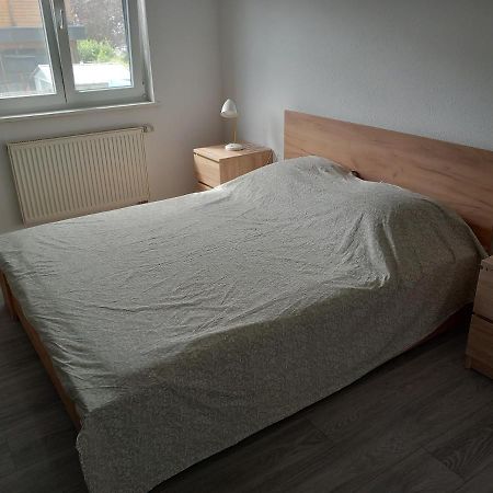 Appartement 3 Pieces Avec Balcon Rhinau Екстер'єр фото