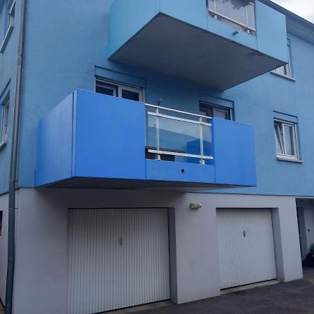 Appartement 3 Pieces Avec Balcon Rhinau Екстер'єр фото