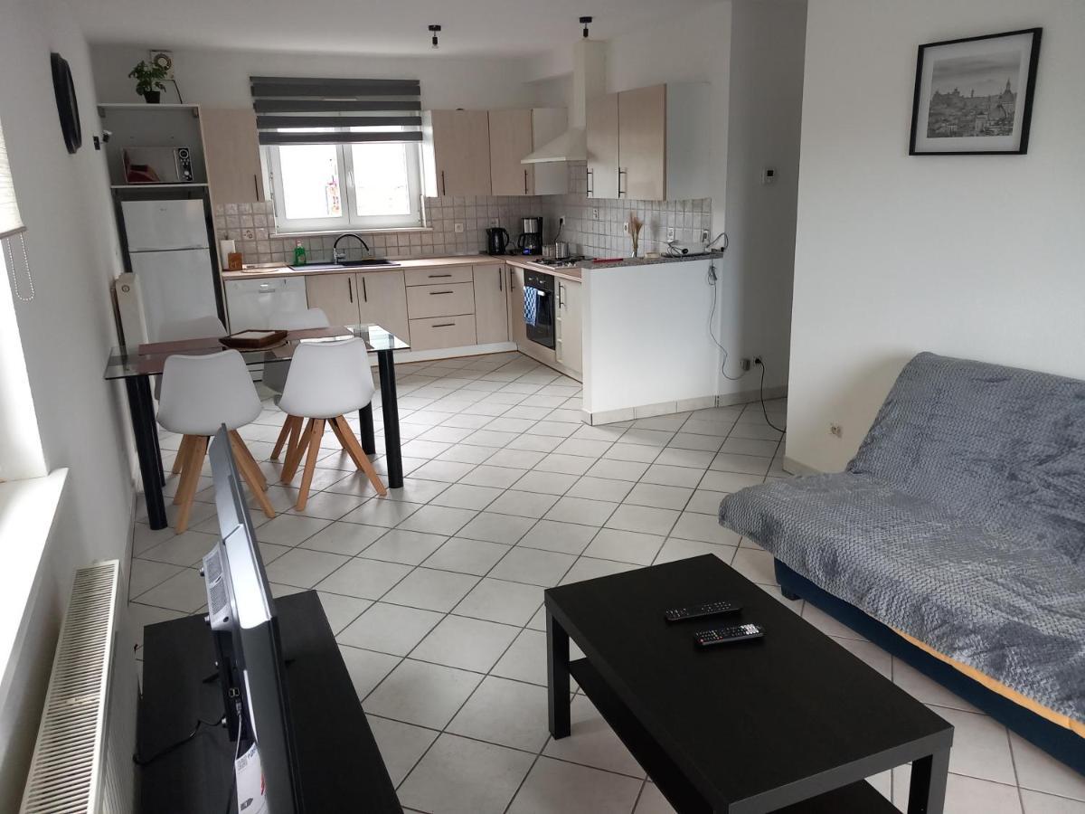 Appartement 3 Pieces Avec Balcon Rhinau Екстер'єр фото